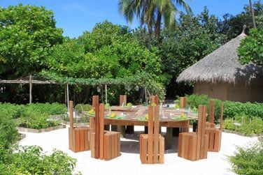 Profitez d'un repas entre amis sur la plage...